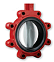 Bray Series 31H Butterfly Valves